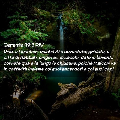 Picture 02 - Geremia 49:3 RIV - Urla, o Heshbon, poiché Ai è devastata; - Bible Verse Picture