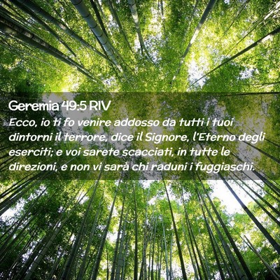 Picture 02 - Geremia 49:5 RIV - Ecco, io ti fo venire addosso da tutti i tuoi - Bible Verse Picture