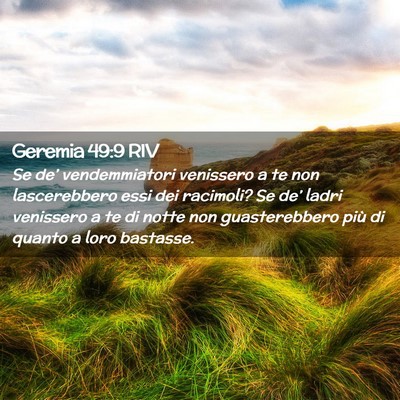 Picture 02 - Geremia 49:9 RIV - Se de’ vendemmiatori venissero a te non - Bible Verse Picture