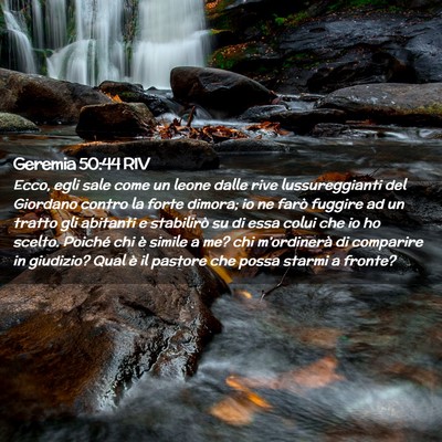 Picture 02 - Geremia 50:44 RIV - Ecco, egli sale come un leone dalle rive - Bible Verse Picture