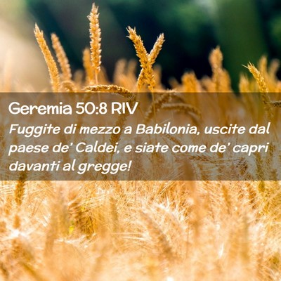 Picture 02 - Geremia 50:8 RIV - Fuggite di mezzo a Babilonia, uscite dal paese - Bible Verse Picture