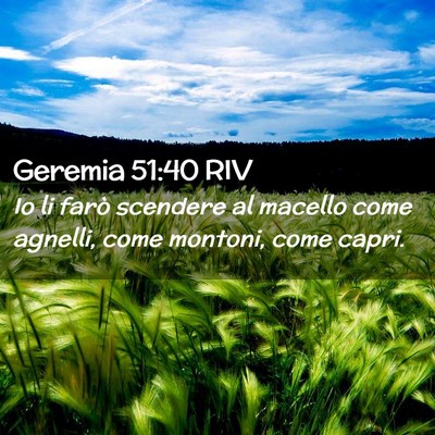 Picture 02 - Geremia 51:40 RIV - Io li farò scendere al macello come agnelli, - Bible Verse Picture