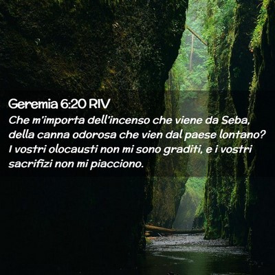 Picture 02 - Geremia 6:20 RIV - Che m’importa dell’incenso che viene da Seba, - Bible Verse Picture