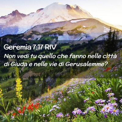 Picture 02 - Geremia 7:17 RIV - Non vedi tu quello che fanno nelle città di - Bible Verse Picture