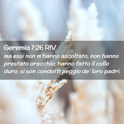 Picture 02 - Geremia 7:26 RIV - ma essi non m’hanno ascoltato, non hanno - Bible Verse Picture