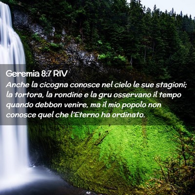Picture 02 - Geremia 8:7 RIV - Anche la cicogna conosce nel cielo le sue - Bible Verse Picture