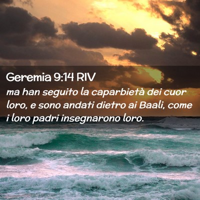 Picture 02 - Geremia 9:14 RIV - ma han seguito la caparbietà dei cuor loro, e - Bible Verse Picture