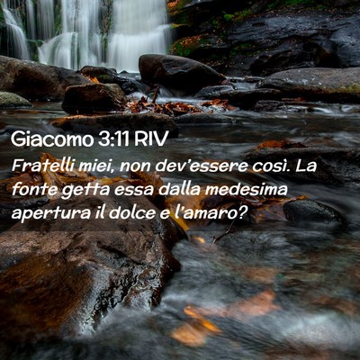 Picture 02 - Giacomo 3:11 RIV - Fratelli miei, non dev’essere così. La fonte - Bible Verse Picture