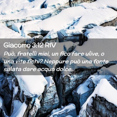 Picture 02 - Giacomo 3:12 RIV - Può, fratelli miei, un fico fare ulive, o una - Bible Verse Picture