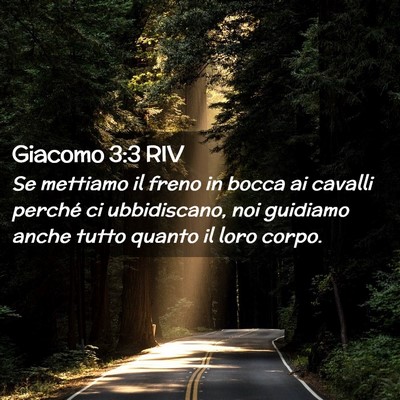 Picture 02 - Giacomo 3:3 RIV - Se mettiamo il freno in bocca ai cavalli perché - Bible Verse Picture