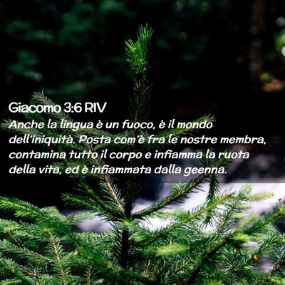 Picture 02 - Giacomo 3:6 RIV - Anche la lingua è un fuoco, è il mondo - Bible Verse Picture