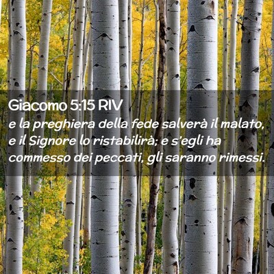 Picture 02 - Giacomo 5:15 RIV - e la preghiera della fede salverà il malato, e - Bible Verse Picture