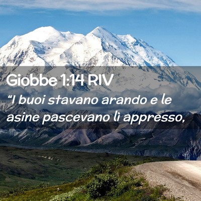 Picture 02 - Giobbe 1:14 RIV - “I buoi stavano arando e le asine pascevano lì - Bible Verse Picture