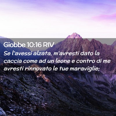 Picture 02 - Giobbe 10:16 RIV - Se l’avessi alzata, m’avresti dato la caccia - Bible Verse Picture