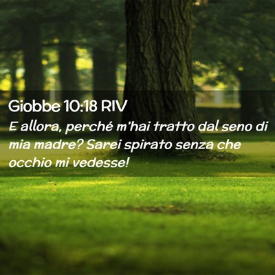 Picture 02 - Giobbe 10:18 RIV - E allora, perché m’hai tratto dal seno di mia - Bible Verse Picture