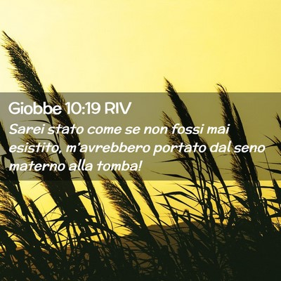 Picture 02 - Giobbe 10:19 RIV - Sarei stato come se non fossi mai esistito, - Bible Verse Picture