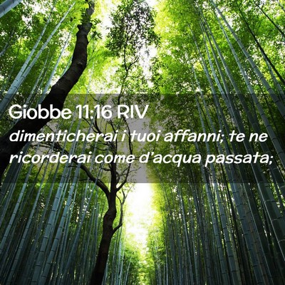 Picture 02 - Giobbe 11:16 RIV - dimenticherai i tuoi affanni; te ne ricorderai - Bible Verse Picture