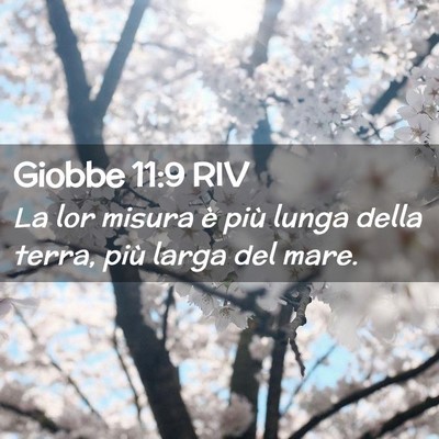 Picture 02 - Giobbe 11:9 RIV - La lor misura è più lunga della terra, più - Bible Verse Picture