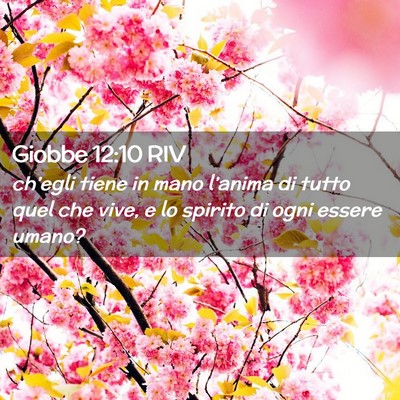 Picture 02 - Giobbe 12:10 RIV - ch’egli tiene in mano l’anima di tutto quel - Bible Verse Picture