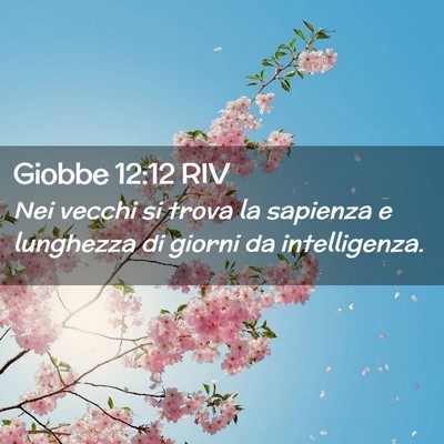 Picture 02 - Giobbe 12:12 RIV - Nei vecchi si trova la sapienza e lunghezza di - Bible Verse Picture