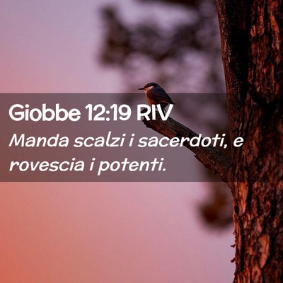 Picture 02 - Giobbe 12:19 RIV - Manda scalzi i sacerdoti, e rovescia i - Bible Verse Picture