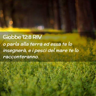 Picture 02 - Giobbe 12:8 RIV - o parla alla terra ed essa te lo insegnerà, e i - Bible Verse Picture