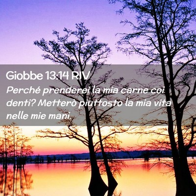 Picture 02 - Giobbe 13:14 RIV - Perché prenderei la mia carne coi denti? - Bible Verse Picture