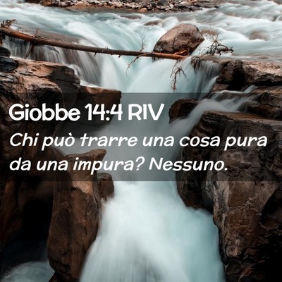 Picture 02 - Giobbe 14:4 RIV - Chi può trarre una cosa pura da una impura? - Bible Verse Picture