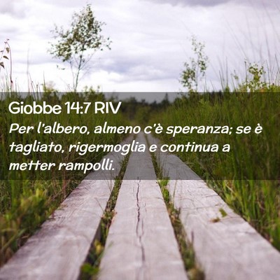 Picture 02 - Giobbe 14:7 RIV - Per l’albero, almeno c’è speranza; se è - Bible Verse Picture