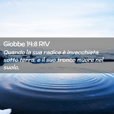 Picture 02 - Giobbe 14:8 RIV - Quando la sua radice è invecchiata sotto terra, - Bible Verse Picture