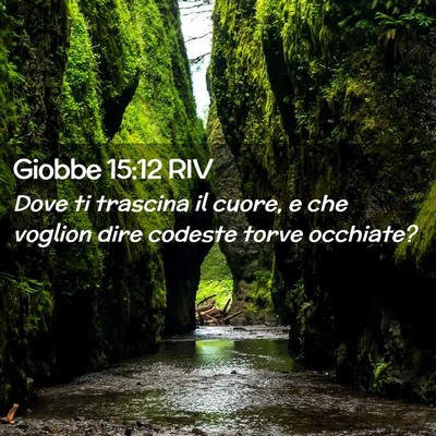 Picture 02 - Giobbe 15:12 RIV - Dove ti trascina il cuore, e che voglion dire - Bible Verse Picture