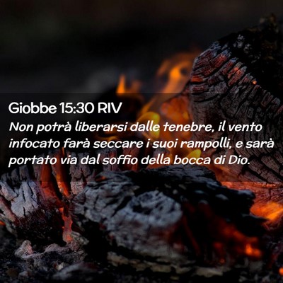 Picture 02 - Giobbe 15:30 RIV - Non potrà liberarsi dalle tenebre, il vento - Bible Verse Picture
