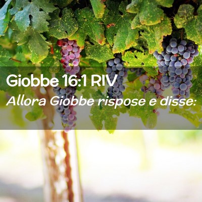Picture 02 - Giobbe 16:1 RIV - Allora Giobbe rispose e - Bible Verse Picture