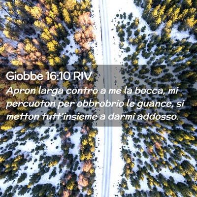 Picture 02 - Giobbe 16:10 RIV - Apron larga contro a me la bocca, mi percuoton - Bible Verse Picture