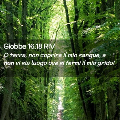 Picture 02 - Giobbe 16:18 RIV - O terra, non coprire il mio sangue, e non vi sia - Bible Verse Picture