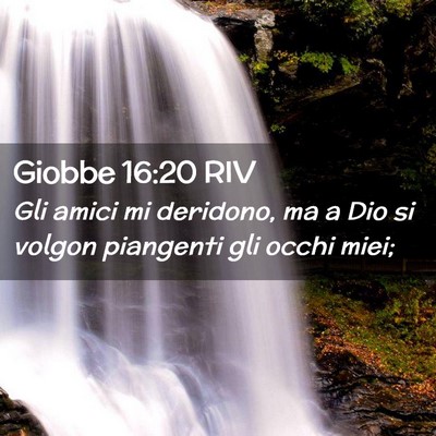 Picture 02 - Giobbe 16:20 RIV - Gli amici mi deridono, ma a Dio si volgon - Bible Verse Picture