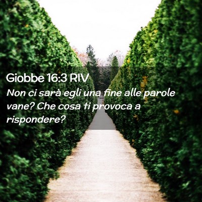 Picture 02 - Giobbe 16:3 RIV - Non ci sarà egli una fine alle parole vane? Che - Bible Verse Picture