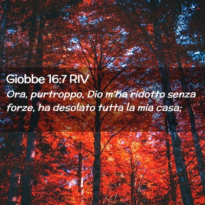 Picture 02 - Giobbe 16:7 RIV - Ora, purtroppo, Dio m’ha ridotto senza forze, - Bible Verse Picture