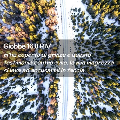 Picture 02 - Giobbe 16:8 RIV - m’ha coperto di grinze e questo testimonia - Bible Verse Picture