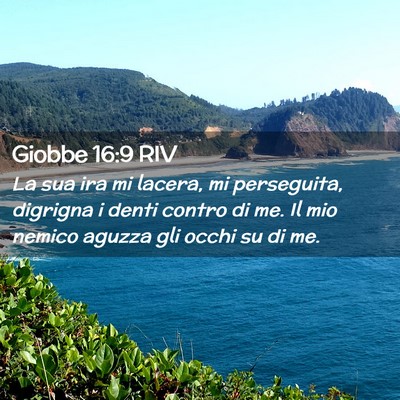 Picture 02 - Giobbe 16:9 RIV - La sua ira mi lacera, mi perseguita, digrigna i - Bible Verse Picture