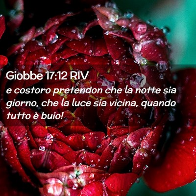 Picture 02 - Giobbe 17:12 RIV - e costoro pretendon che la notte sia giorno, che - Bible Verse Picture