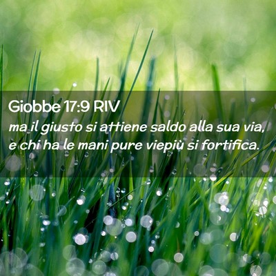 Picture 02 - Giobbe 17:9 RIV - ma il giusto si attiene saldo alla sua via, e chi - Bible Verse Picture