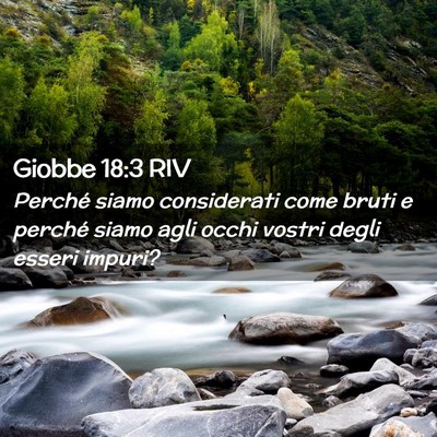 Picture 02 - Giobbe 18:3 RIV - Perché siamo considerati come bruti e perché - Bible Verse Picture