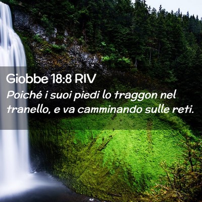 Picture 02 - Giobbe 18:8 RIV - Poiché i suoi piedi lo traggon nel tranello, e - Bible Verse Picture