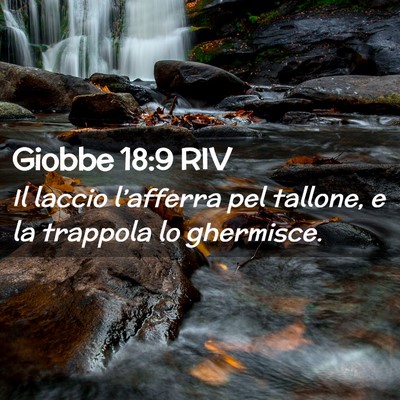 Picture 02 - Giobbe 18:9 RIV - Il laccio l’afferra pel tallone, e la trappola - Bible Verse Picture