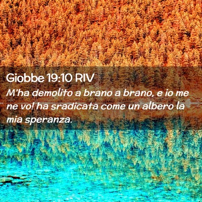 Picture 02 - Giobbe 19:10 RIV - M’ha demolito a brano a brano, e io me ne vo! - Bible Verse Picture