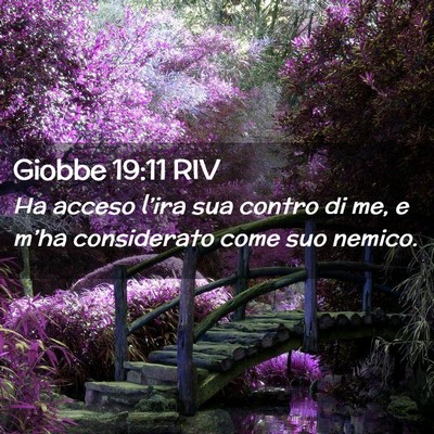 Picture 02 - Giobbe 19:11 RIV - Ha acceso l’ira sua contro di me, e m’ha - Bible Verse Picture