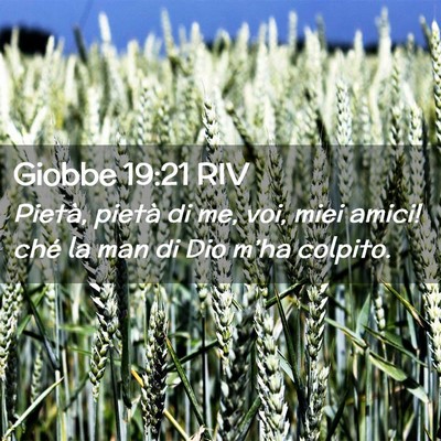Picture 02 - Giobbe 19:21 RIV - Pietà, pietà di me, voi, miei amici! ché la - Bible Verse Picture