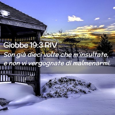 Picture 02 - Giobbe 19:3 RIV - Son già dieci volte che m’insultate, e non vi - Bible Verse Picture