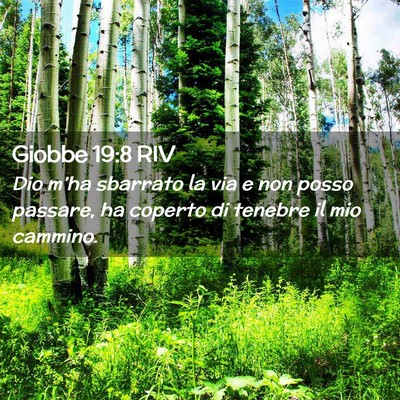 Picture 02 - Giobbe 19:8 RIV - Dio m’ha sbarrato la via e non posso passare, - Bible Verse Picture